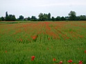 DSCF1208