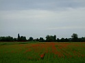 DSCF1209