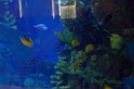 DSCF3148