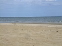 DSCF1930