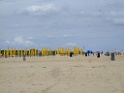 DSCF1931
