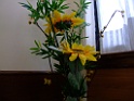 DSCF1937