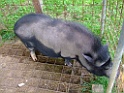 DSCF2023