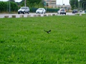 DSCF2097