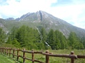 DSCF2221