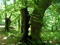 DSCN4108