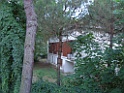 SNV80181