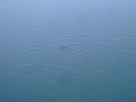 DSCF3143