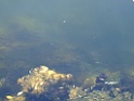 DSCF3144