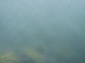 DSCF3148