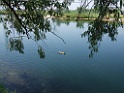 DSCF3149