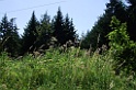 DSCF3173