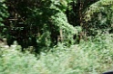 DSCF3176