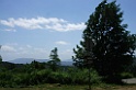 DSCF3184