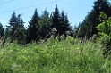 SNV80239