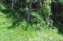SNV80240