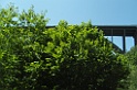 SNV80255