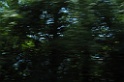 SNV80268