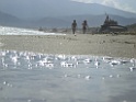 DSCN3661
