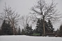 DSC_0038