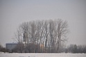 DSC_0440