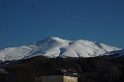 SNV84693