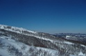 SNV84698