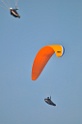 aSC_4737