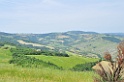 DSC_8320