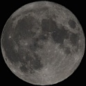 aSC_9215crp