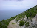 DSCN5603