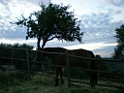 DSCN5676