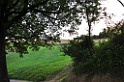 DSC_1380