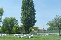 SNV80200