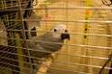 IMG_0787