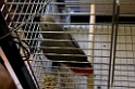IMG_0844