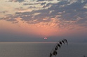 IMG_1298
