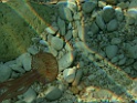 P8040166