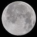 DSC_2826crop