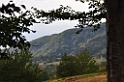 DSC_3294