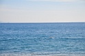 DSC_6099
