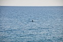 DSC_6101