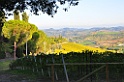 DSC_6269