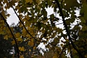 DSC_6586