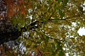 DSC_6610