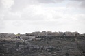 DSC_6928