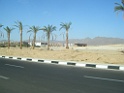 DSCF2947
