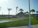 DSCF2951
