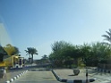 DSCF2955