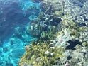 DSCF2961